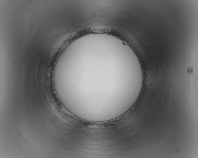X0000110950690200906191116