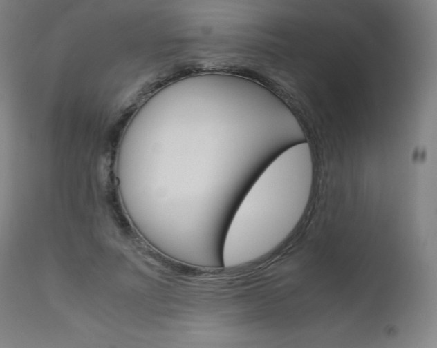 X0000110950691200906191116