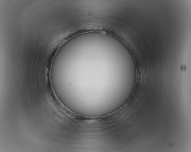 X0000110950692200906191115