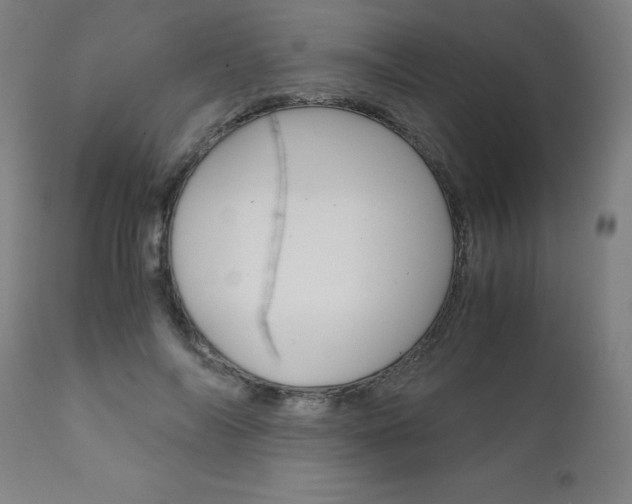 X0000110950694200906191115
