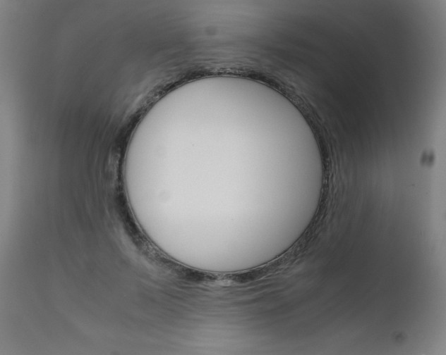X0000110950695200906191115