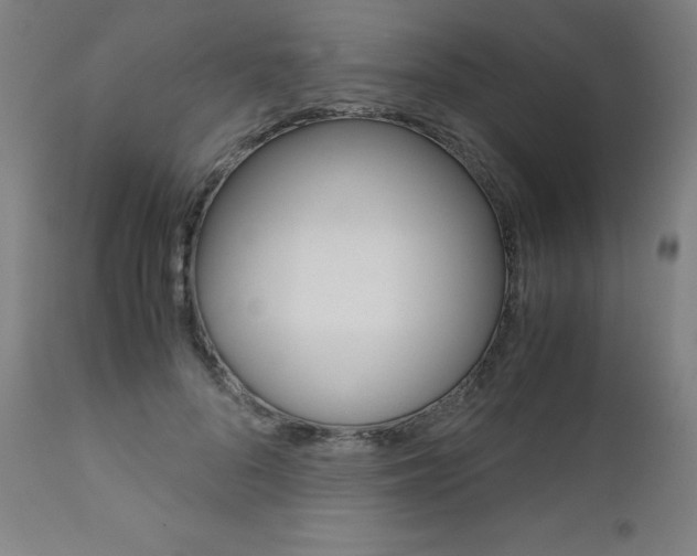 X0000110950696200906191115