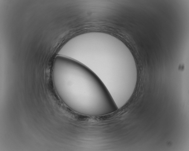 X0000110950697200906191115