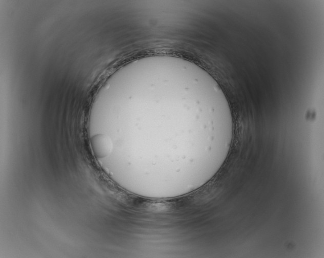 X0000110950698200906191115