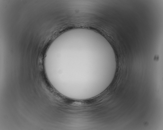 X0000110950699200906191115