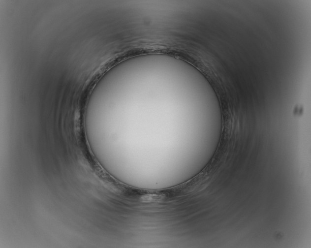 X0000110950700200906191115