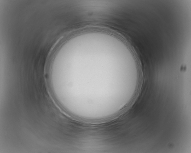 X0000110950701200906191115