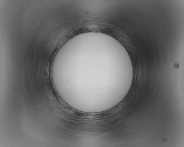 X0000110950702200906191115