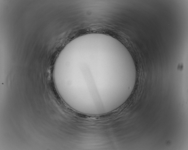 X0000110950703200906191115