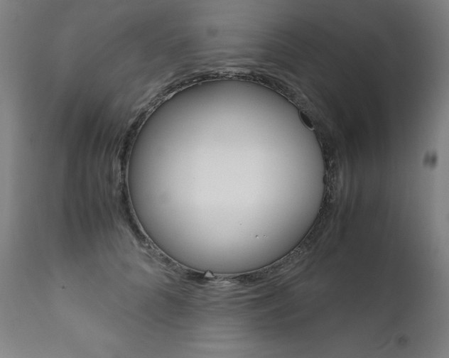 X0000110950704200906191115