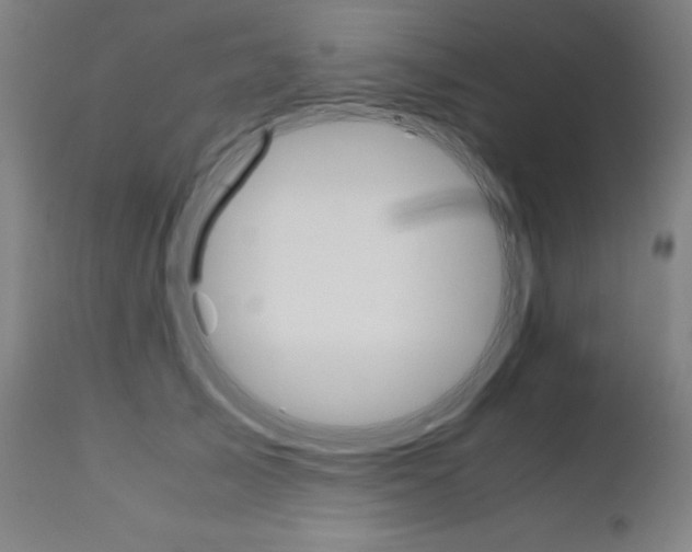 X0000110950705200906191115