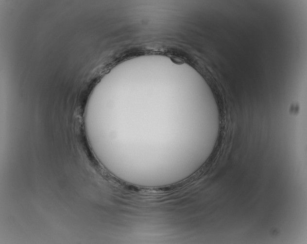 X0000110950707200906191115
