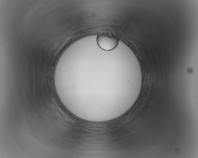 X0000110950708200906191115