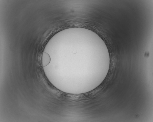 X0000110950709200906191115