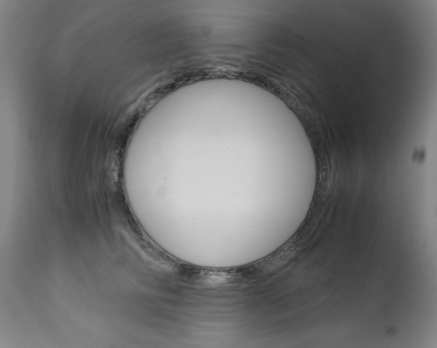 X0000110950710200906191115