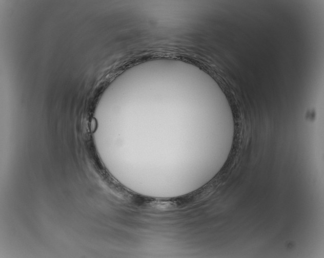 X0000110950711200906191115