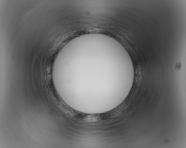 X0000110950714200906191115