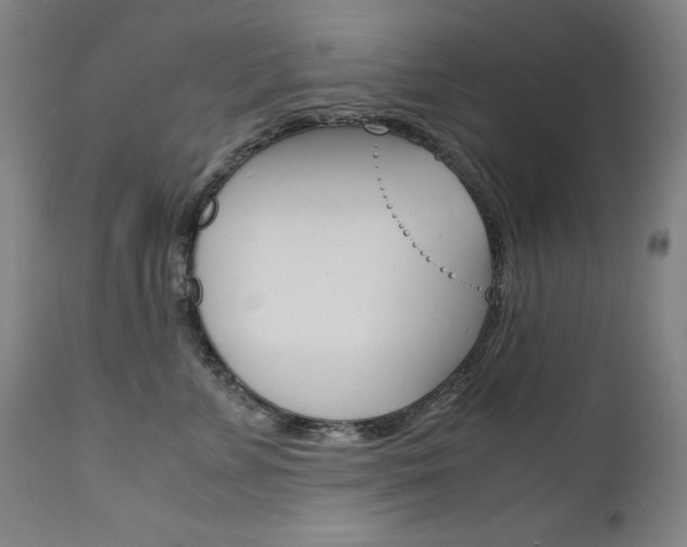 X0000110950715200906191115