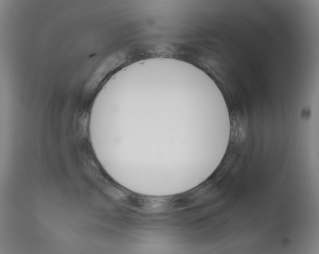 X0000110950717200906191115