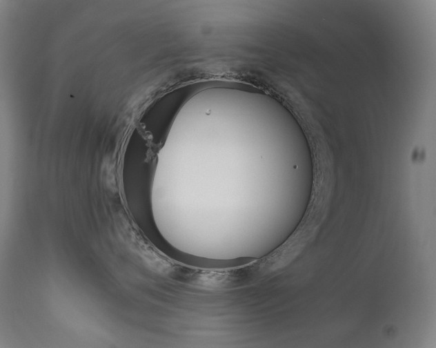X0000110950720200906191115
