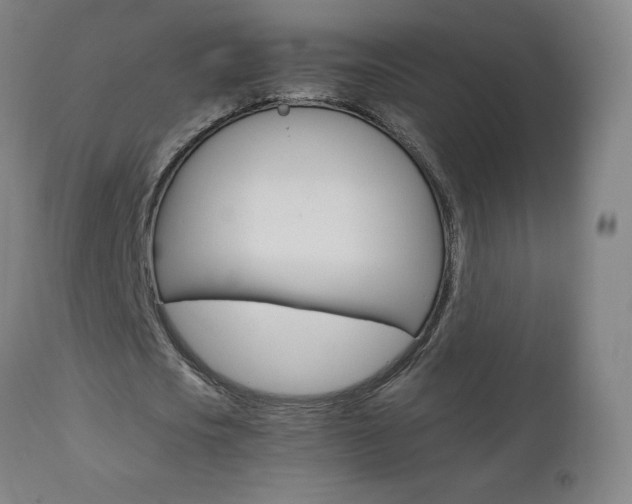 X0000110950721200906191114