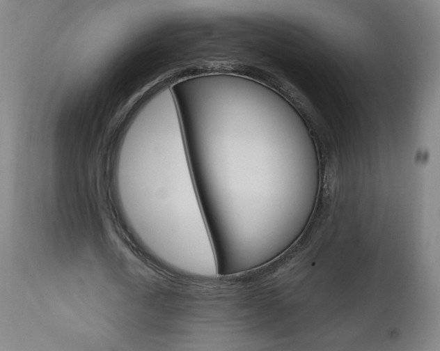 X0000110950722200906191114