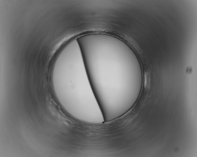 X0000110950723200906191114