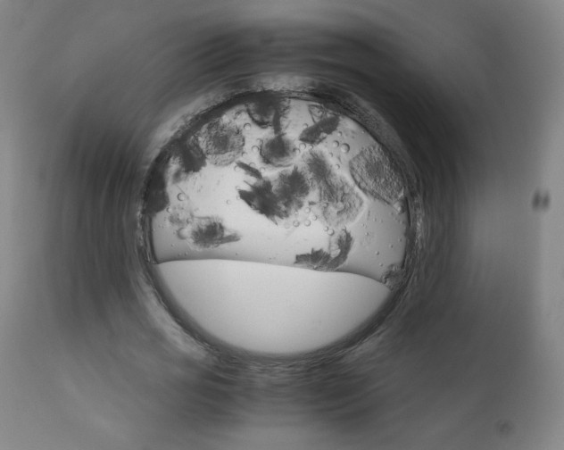 X0000110950725200906191114