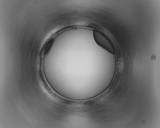 X0000110950726200906191114