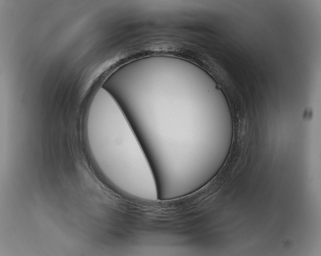 X0000110950727200906191114