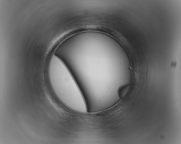 X0000110950728200906191114