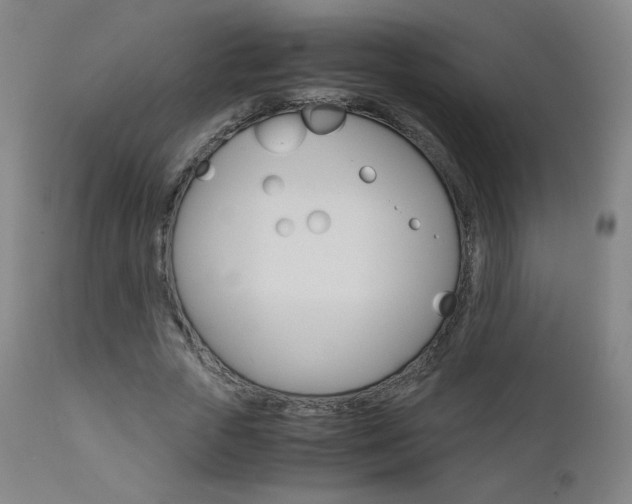 X0000110950729200906191114