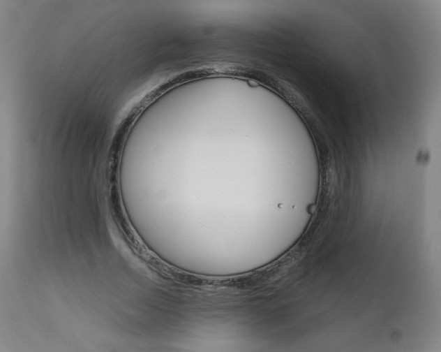 X0000110950730200906191114
