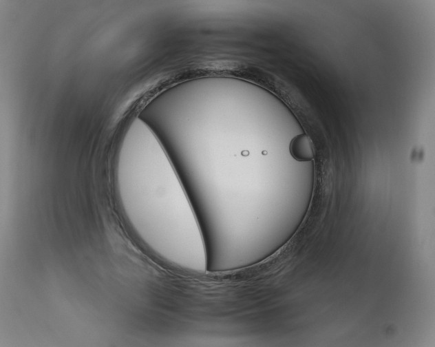 X0000110950731200906191114