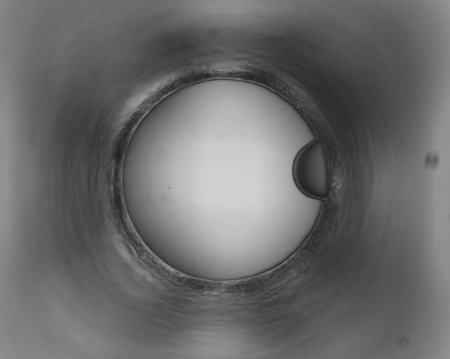 X0000110950732200906191114