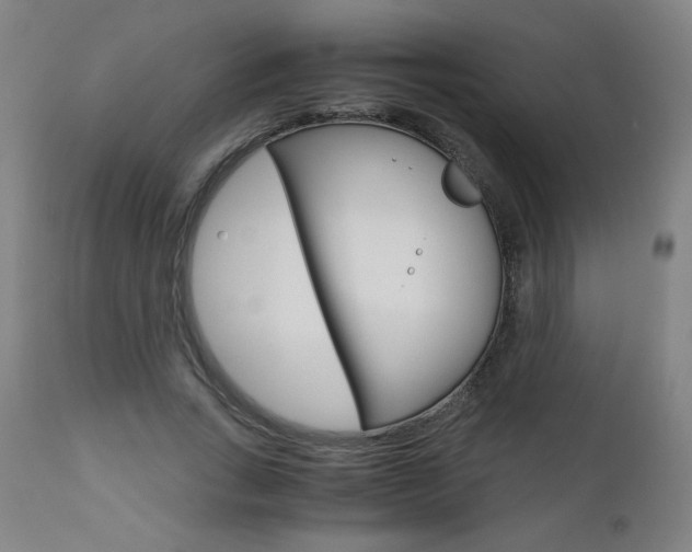 X0000110950735200906191114