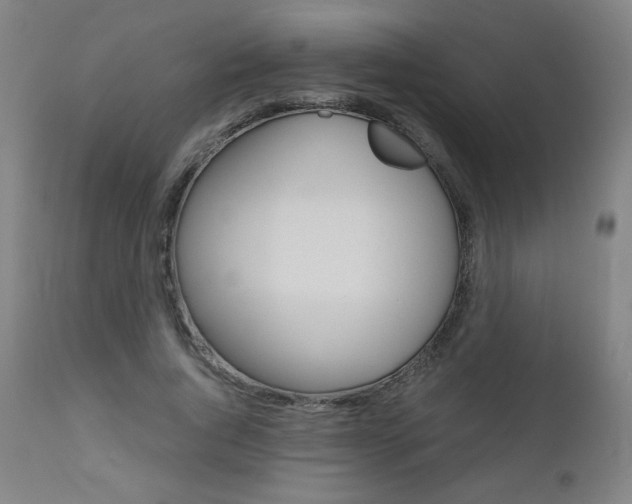 X0000110950736200906191114