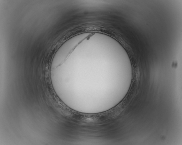 X0000110950737200906191114