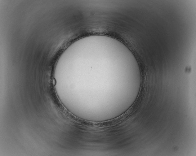 X0000110950739200906191114
