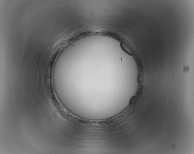 X0000110950740200906191114