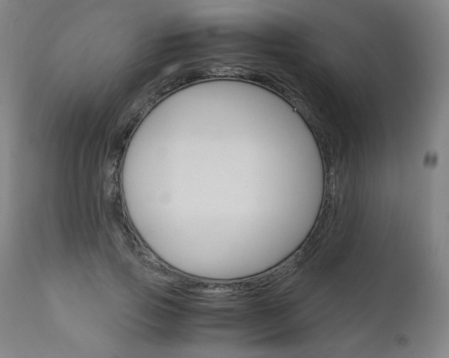X0000110950741200906191114