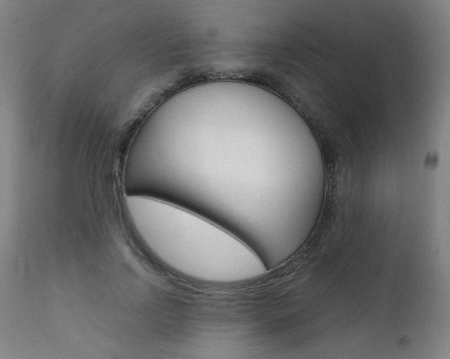 X0000110950742200906191114
