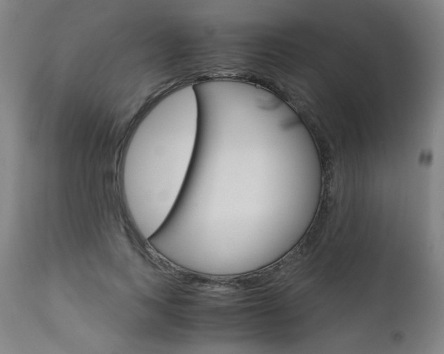 X0000110950743200906191114
