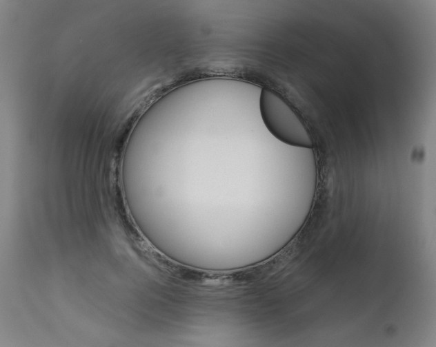 X0000110950744200906191114