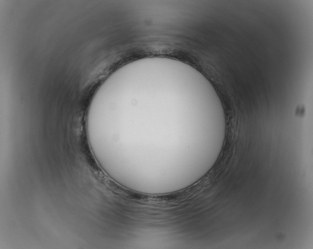 X0000110950746200906191114