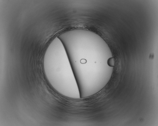 X0000110950747200906191114