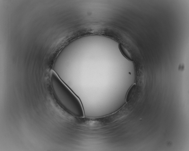 X0000110950748200906191114