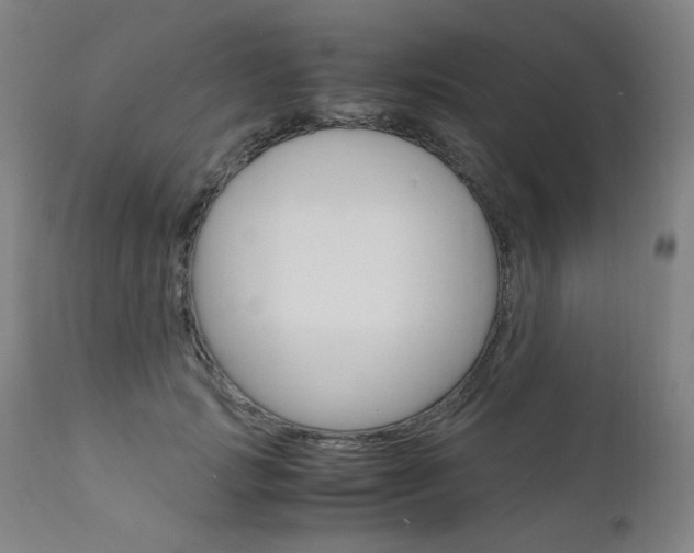 X0000110950749200906191114