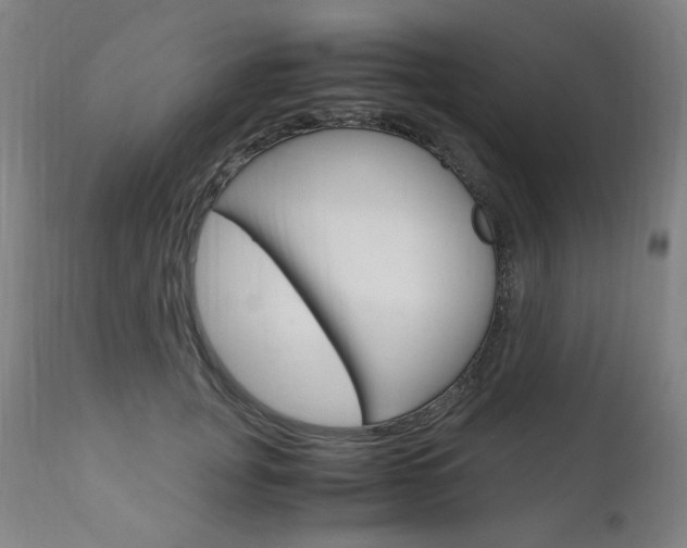 X0000110950751200906191115