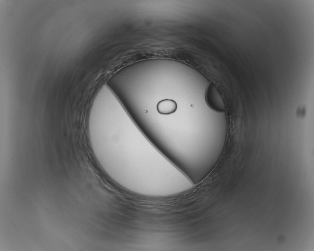 X0000110950752200906191115